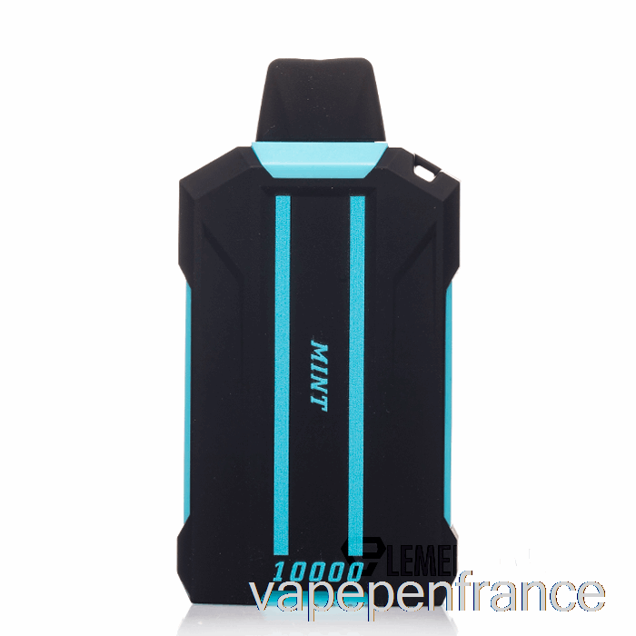 Stylo Vape Jetable à La Menthe Posh Xtron 10000